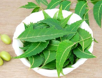 How to Treat Dandruff with Neem Leaves