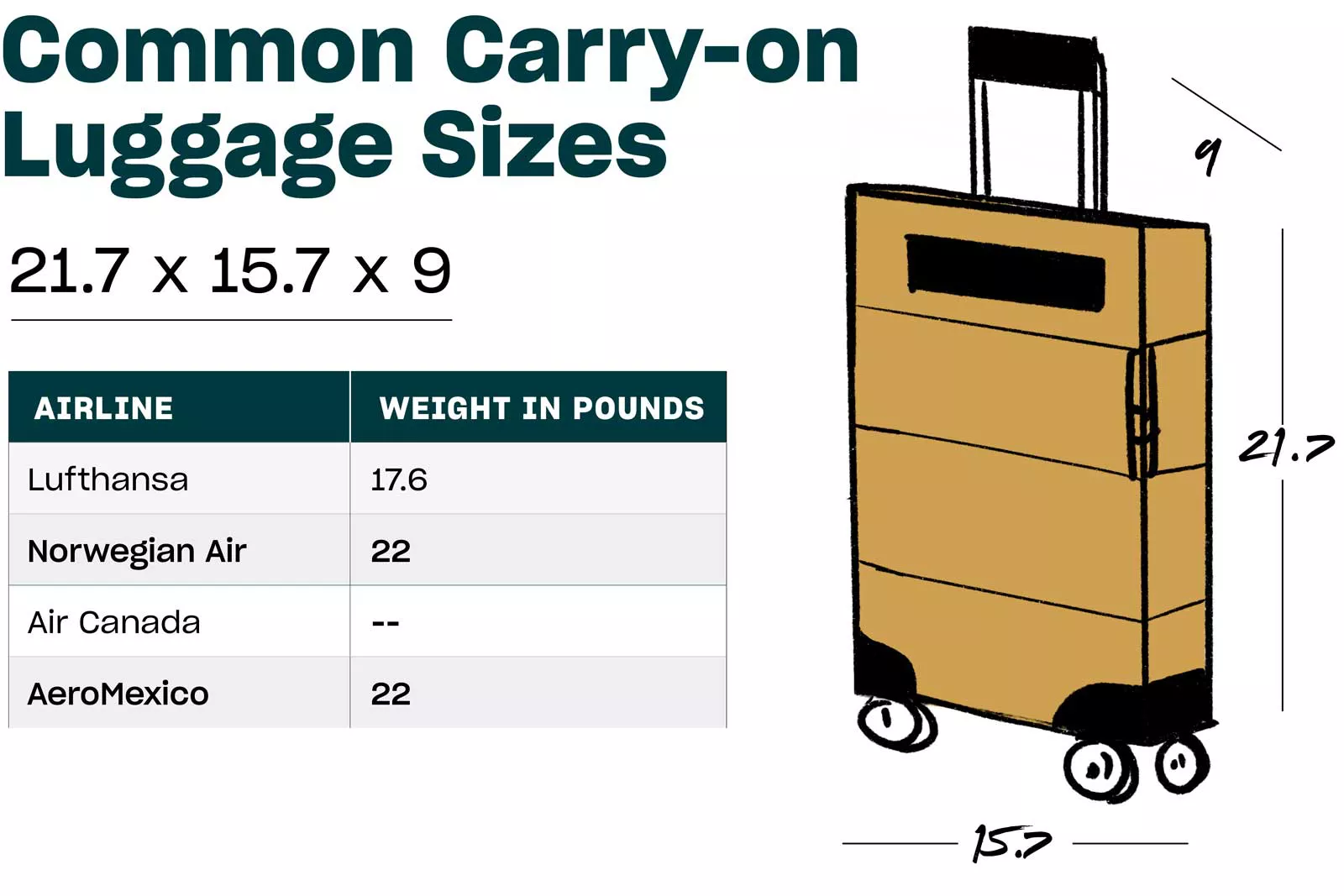 Carry On Luggage Size 03